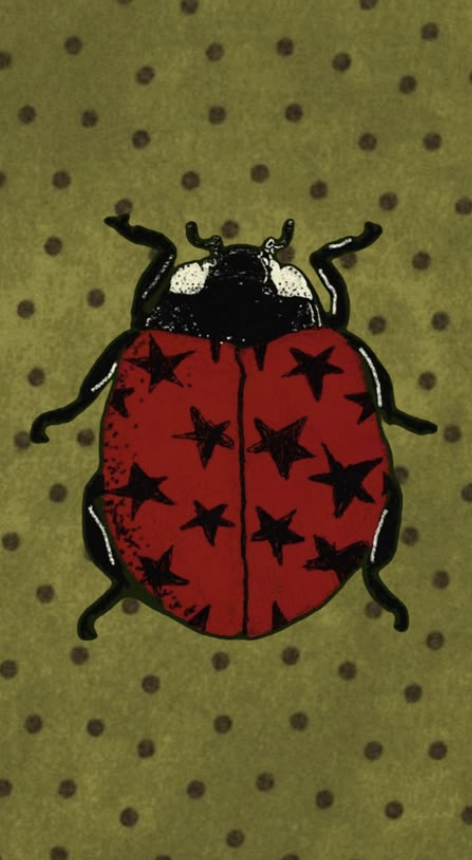 bug